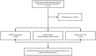 Cardiac-Related Lesions in Newly Diagnosed Patients With Acute Leukemia: A Chinese Population-Based Real-World Study